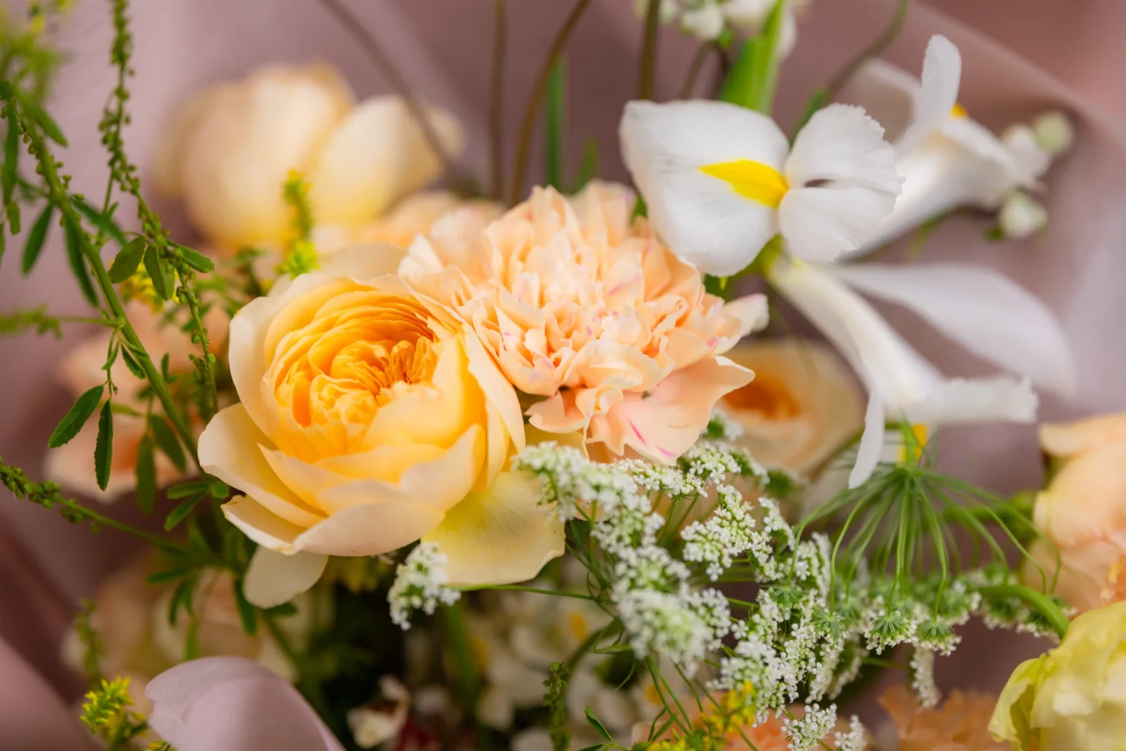 Beautiful Bouquet Of Roses Carnations And Iris 2026 01 09 08 05 26 Utc