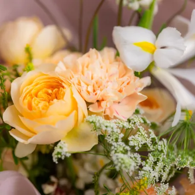 Beautiful Bouquet Of Roses Carnations And Iris 2026 01 09 08 05 26 Utc