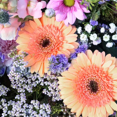 Beautiful Flowers Background Flowers Decoration 2026 01 07 02 16 07 Utc