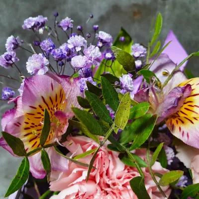 Floral Beauty Pinks Purples And Yellows 2026 01 07 06 26 02 Utc