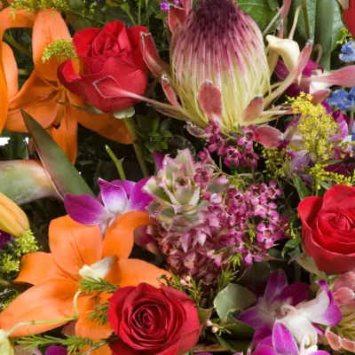 Floral Display Featuring Roses Lilies And Protea 2026 03 26 11 35 28 Utc