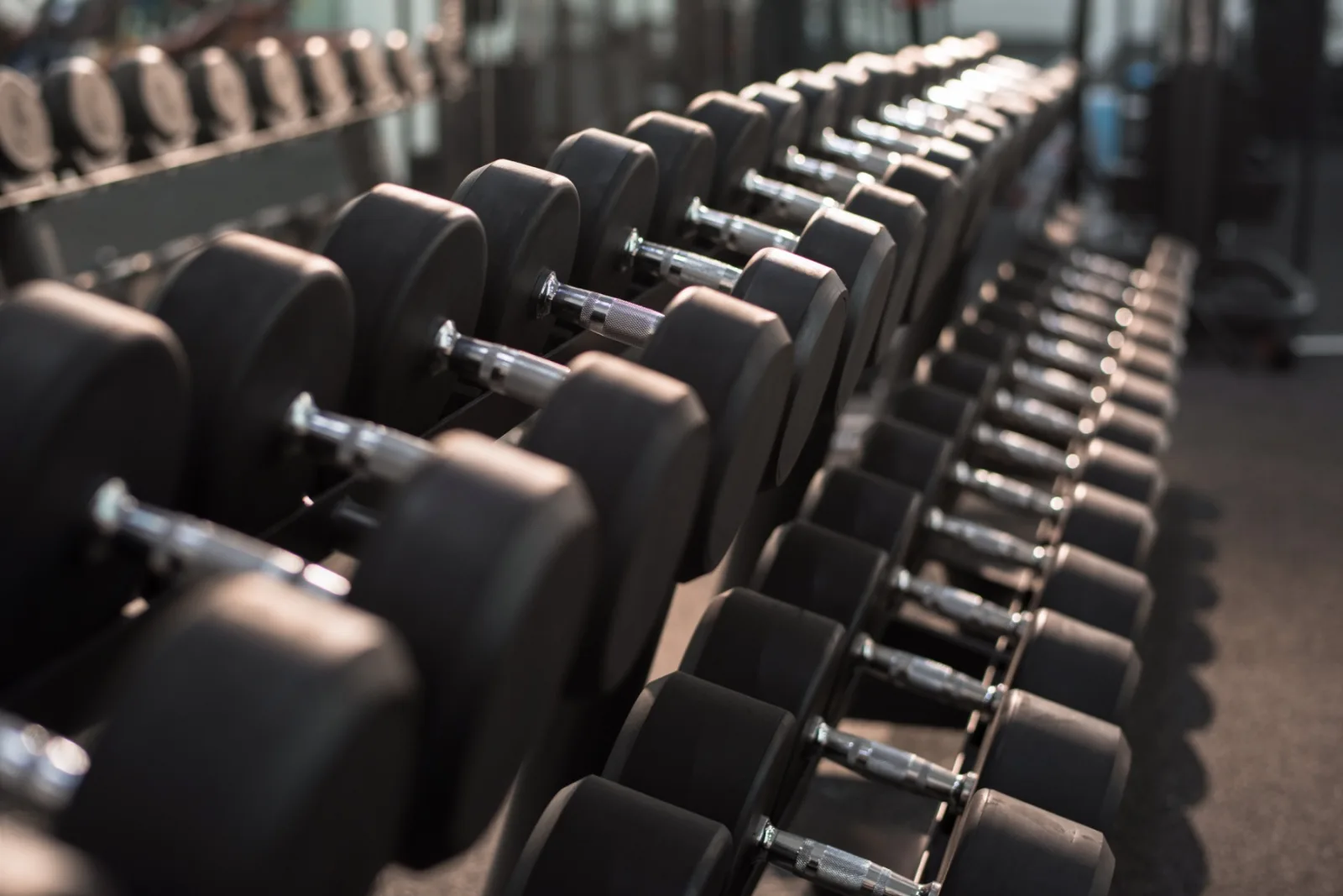Dumbbells On Stand In Gym 2026 01 08 07 07 08 Utc