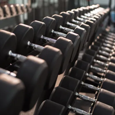 Dumbbells On Stand In Gym 2026 01 08 07 07 08 Utc